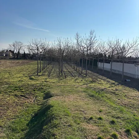 Apartamento Szofia *