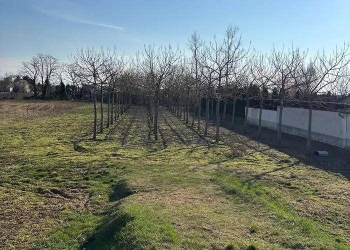 Appartamento Szofia *